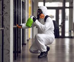 Mold Remediation for Rental Properties in Laguna Park, TX